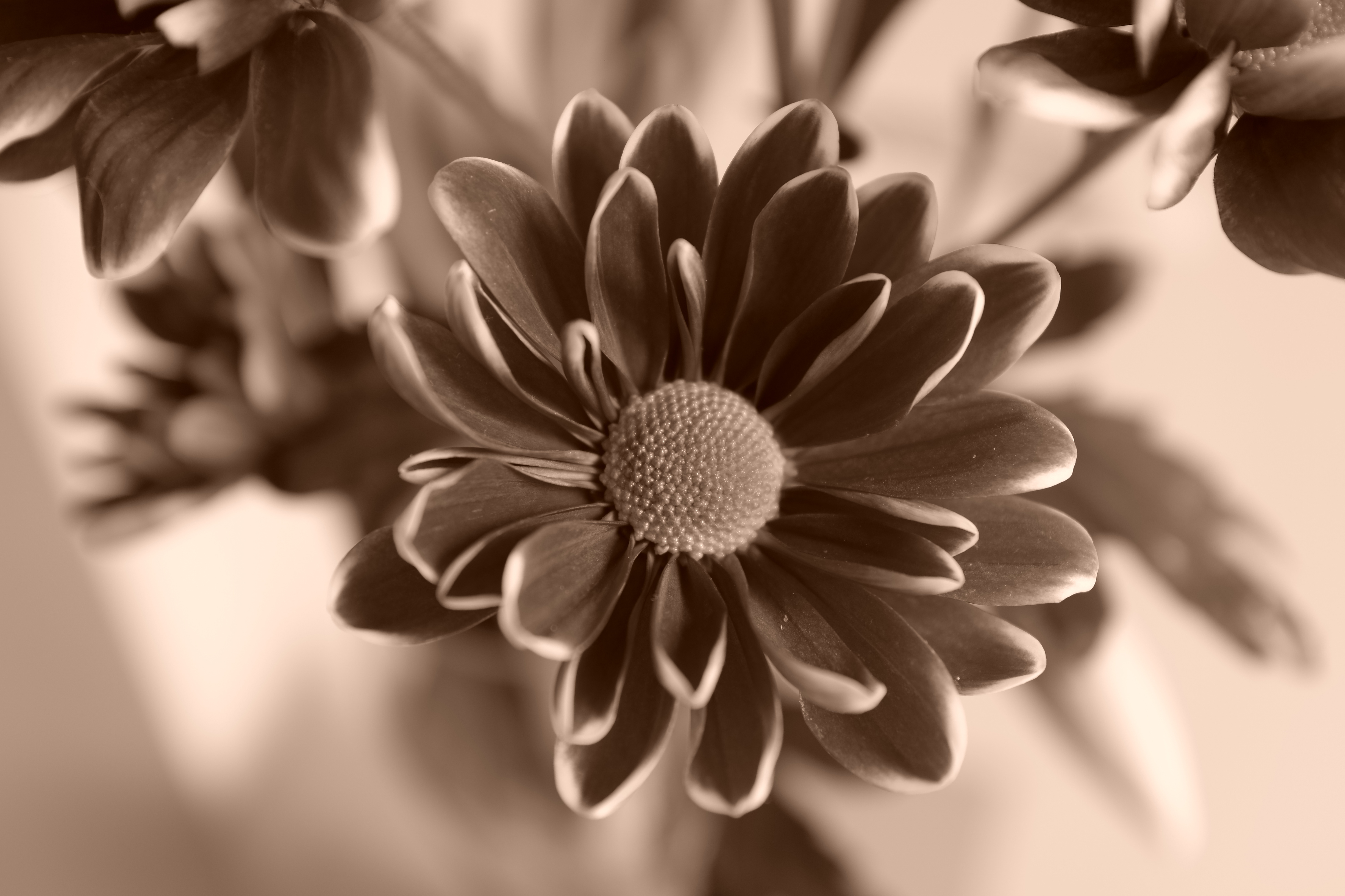 Fujifilm X100S sample image 10