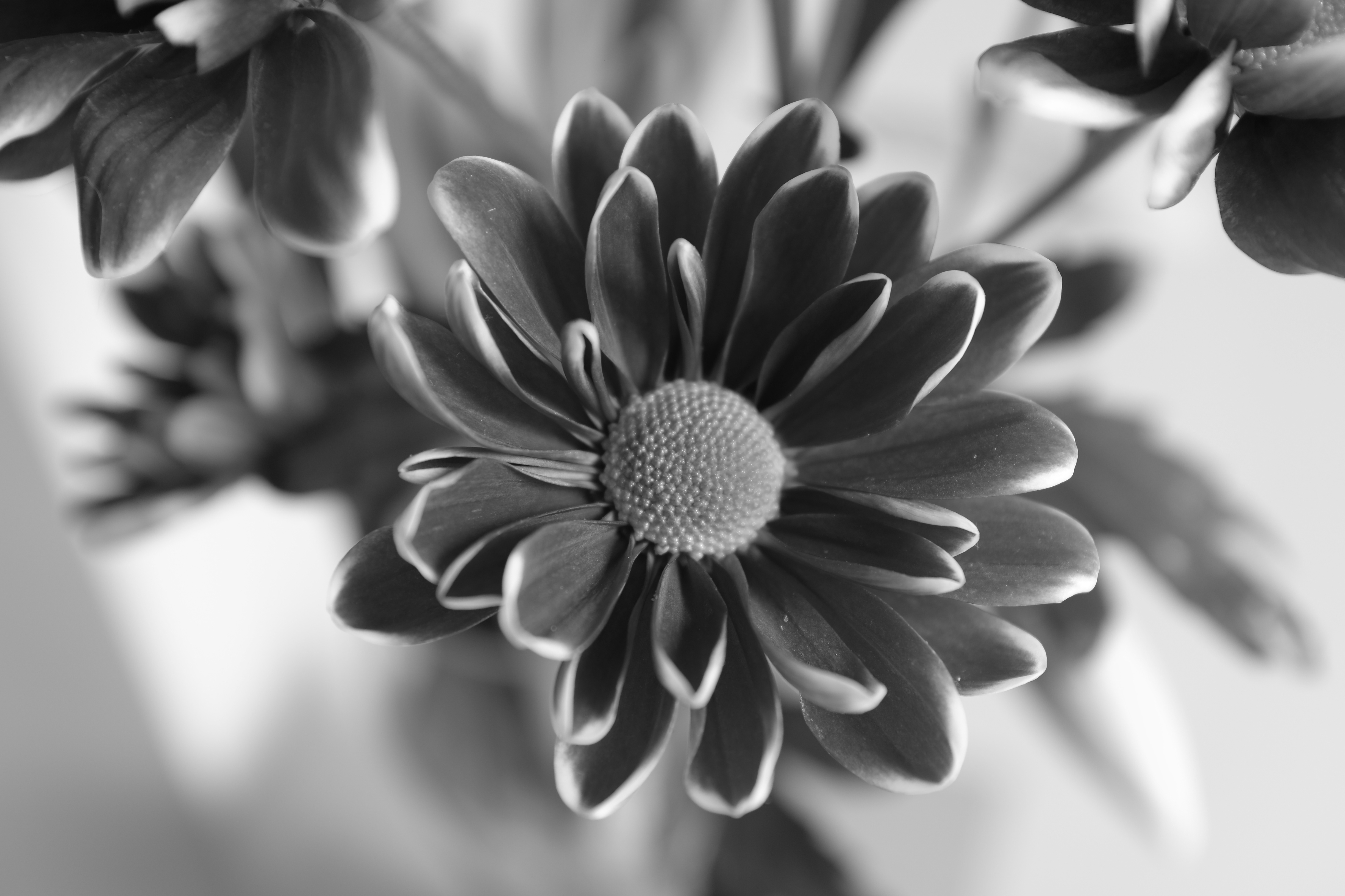 Fujifilm X100S sample image 11