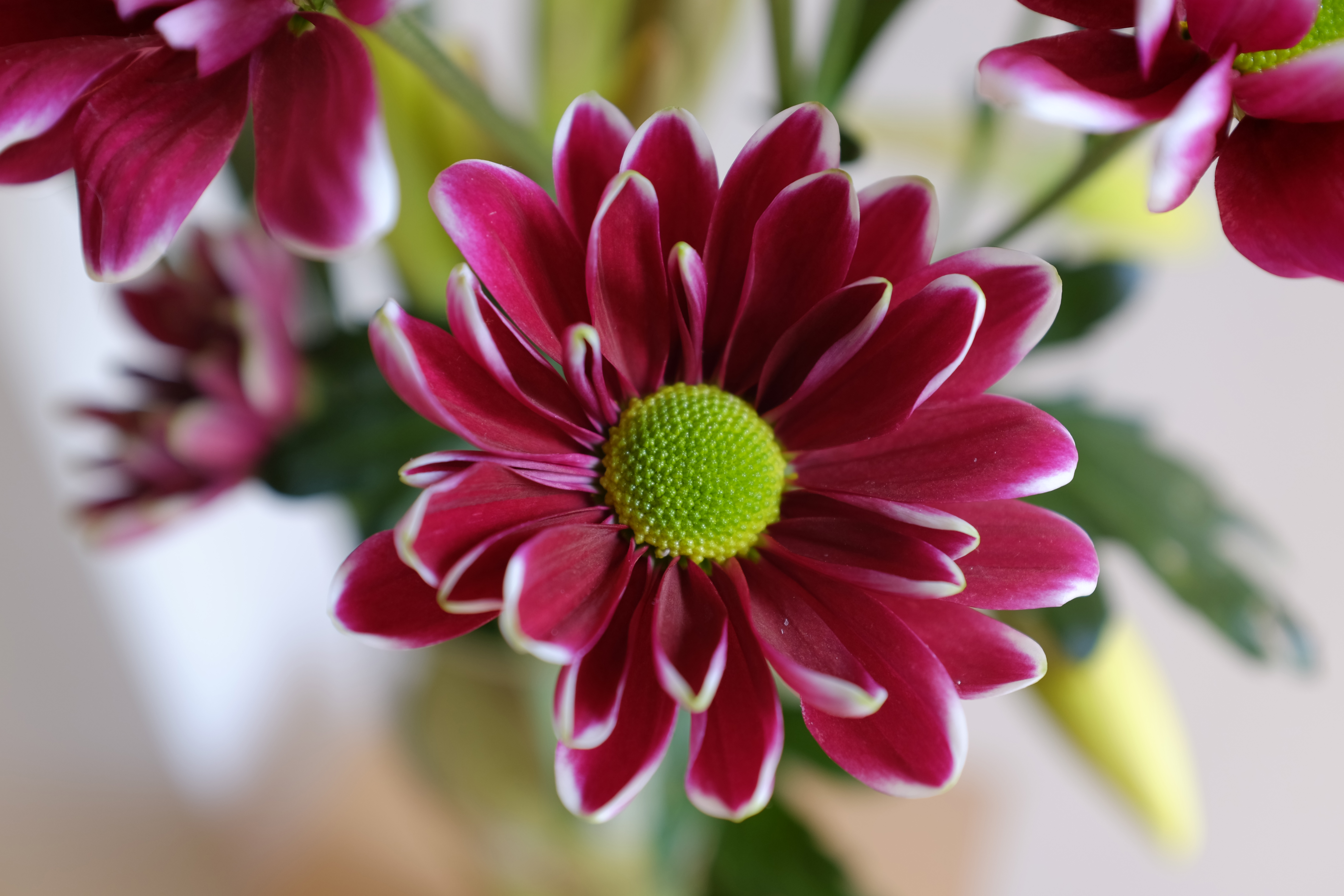 Fujifilm X100S sample image 12