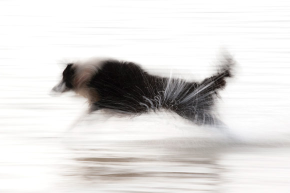 Panning